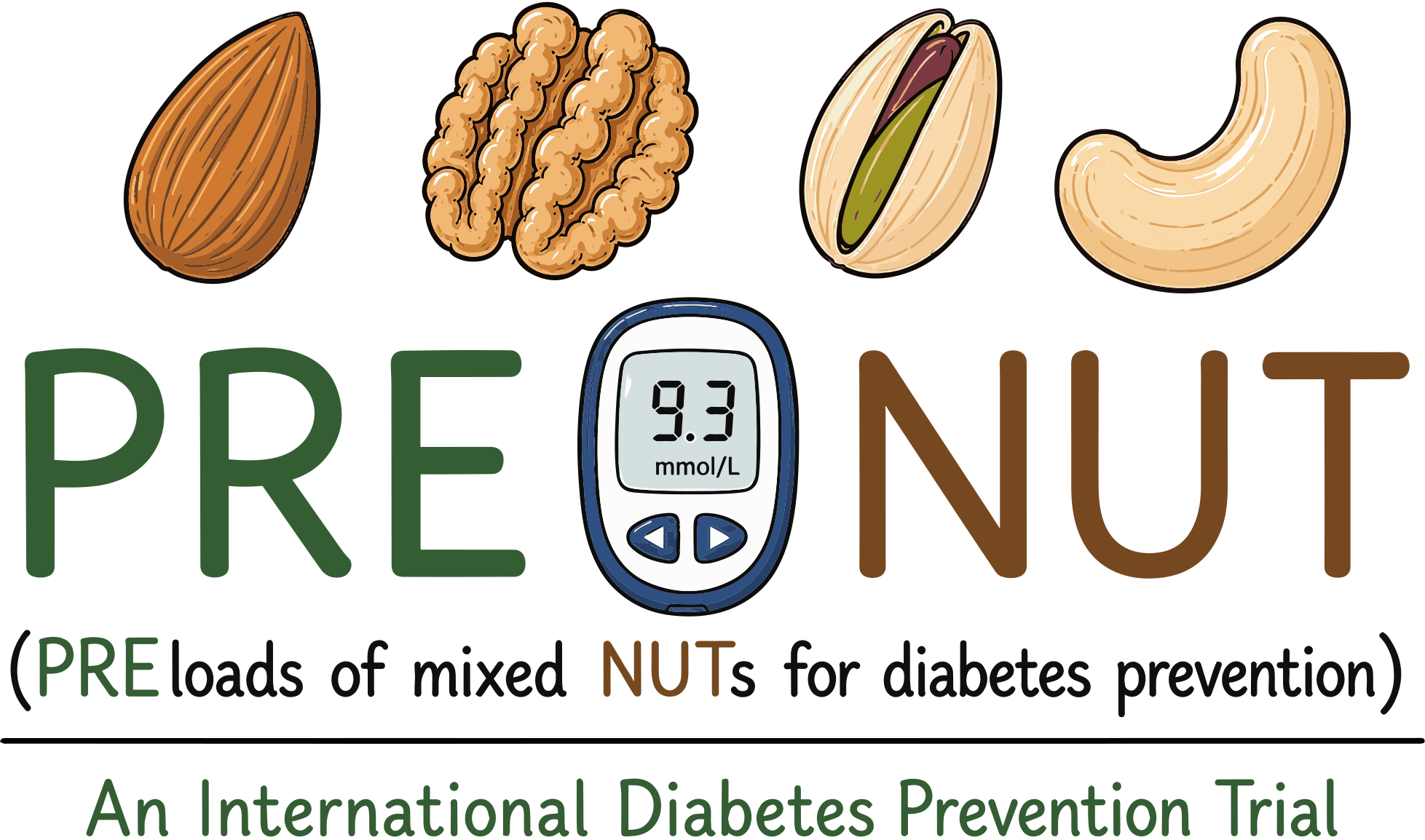 PRENUT Study | Mixed Nuts for Type 2 Diabetes Prevention